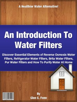 Cover of the book An Introduction To Water Filters by Fred M. Finnegan