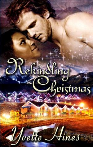 Cover of the book Wonderland: Rekindling Christmas by Domino Derval