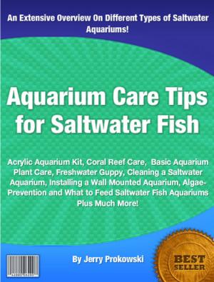 Cover of the book Aquarium Care Tips for Saltwater Fish by Jerry B. Dostie