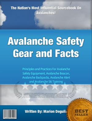 Cover of the book Avalanche Safety Gear and Facts by Deborah G. Hein