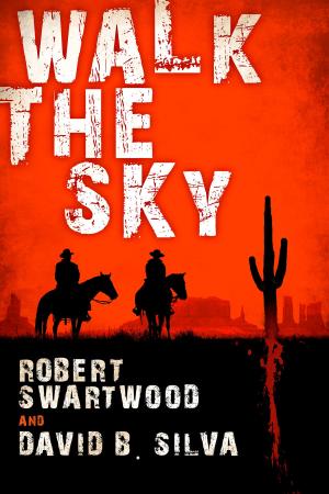 Book cover of Walk the Sky