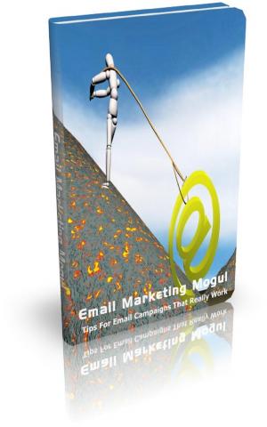 Cover of Email Marketing Mogul