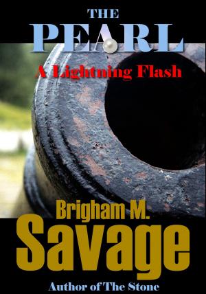 Cover of the book The Pearl, Book 7--A Lightning Flash--An Epic Adventure by Brigham M. Savage