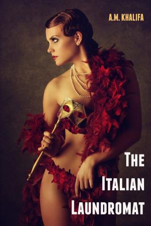 Cover of the book The Italian Laundromat by Falafel Jones