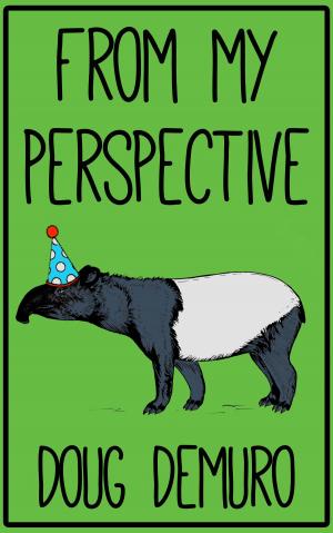 Cover of the book From My Perspective by Larry Feign