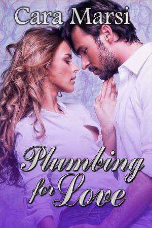 Cover of the book Plumbing for Love by Amanda Frederickson