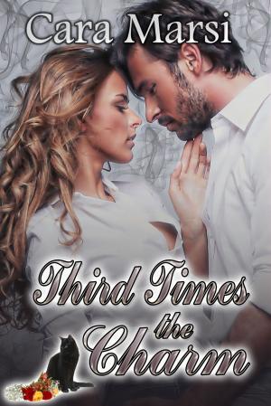 Cover of the book Third Time's the Charm by Kate Ward