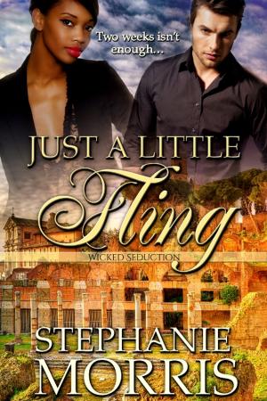 Cover of the book Just a Little Fling by Marcie Colleen