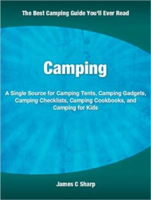 Cover of the book Camping by Brandi Leyba