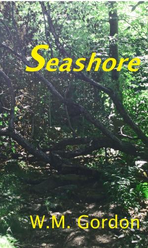 Book cover of Seashore