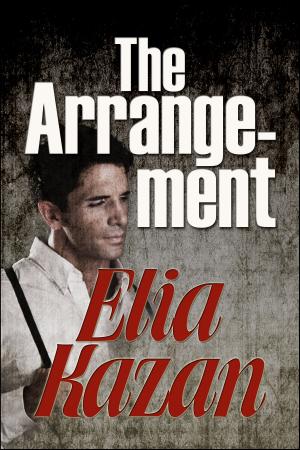 Cover of the book The Arrangement by Susan Donnell