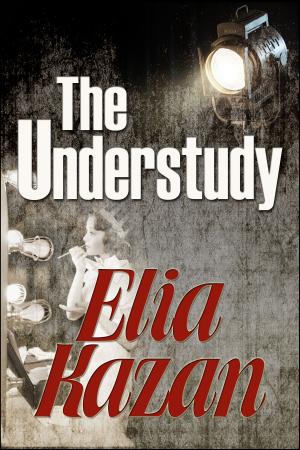 bigCover of the book The Understudy by 