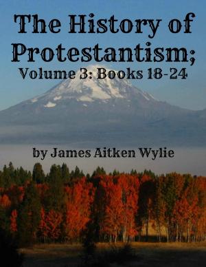 Book cover of The History of Protestantism; Volume 3: Books 18-24