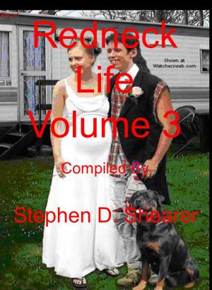 Cover of the book Redneck Life Volume 3 by Mary Elizabeth Raines