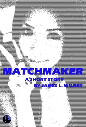 Cover of the book Matchmaker by S. P. Elledge
