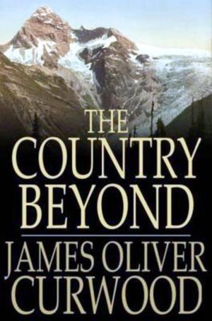 Cover of the book The Country Beyond by Hulbert Footner