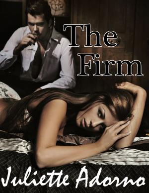 Cover of the book The Firm by Jane Amber