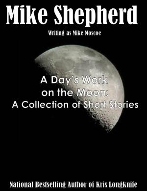 Cover of the book A Day's Work on the Moon by VJ Erickson