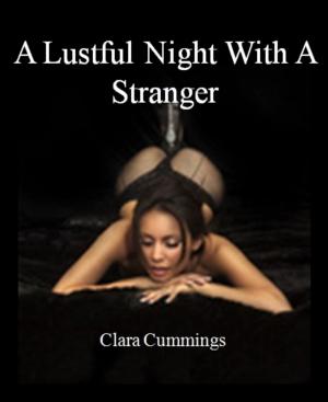 Cover of the book A Lustful Night With A Stranger by VR Thode
