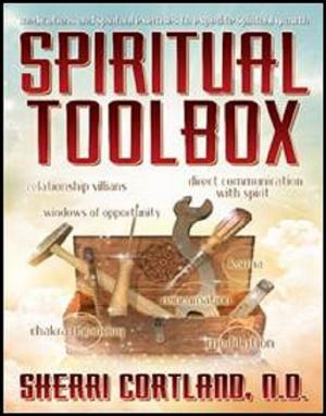 Cover of the book Spiritual Toolbox by Albert Cheung Kwong Yin, Alexandra Harteam