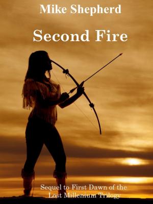 Book cover of Second Fire