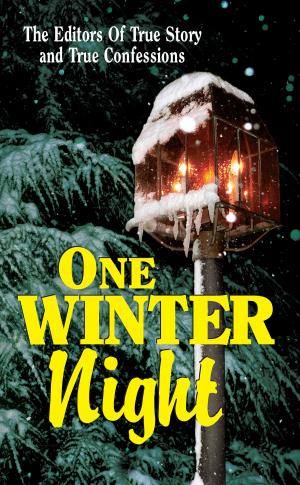 bigCover of the book One Winter Night by 