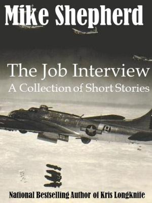 Cover of the book The Job Interview by C.L. Roman