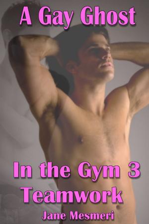 Book cover of A Gay Ghost in the Gym 3