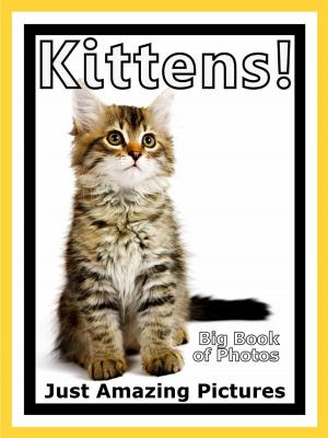 Book cover of Just Kitten Photos! Big Book of Photographs & Pictures of Baby Cats & Cat Kittens, Vol. 1