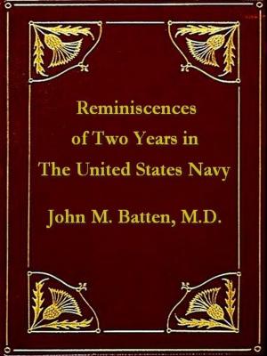 Book cover of Reminiscences of Two Years in the United States Navy