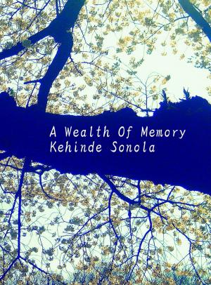Cover of the book A Wealth Of Memory by Erin Mackey