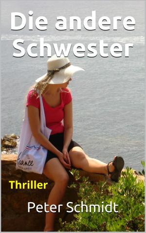 Book cover of Die andere Schwester