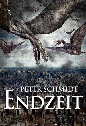 Cover of the book Endzeit by James Noll