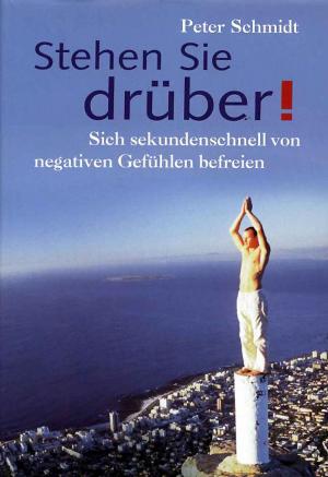 Cover of the book Stehen Sie drüber! by Peter Schmidt