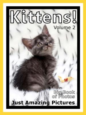 Book cover of Just Kitten Photos! Big Book of Photographs & Pictures of Baby Cats & Cat Kittens, Vol. 2