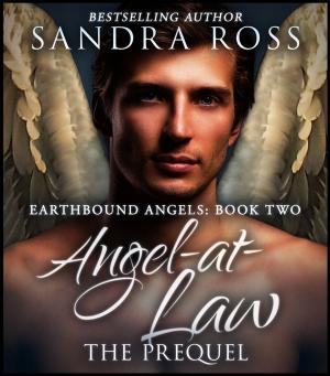 bigCover of the book Angel-at-Law, The Prequel: Earthbound Angels 2 by 