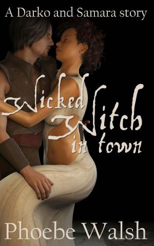 Book cover of Wicked Witch in Town