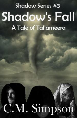 Cover of the book Shadow's Fall by Damian M. Salo