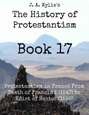 Cover of Protestantism in France From Death of Francis I (1547) to Edict of Nantes (1598): Book 17