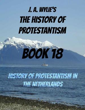 Cover of the book History of Protestantism in the Netherlands: Book 18 by James Blaine Chapman