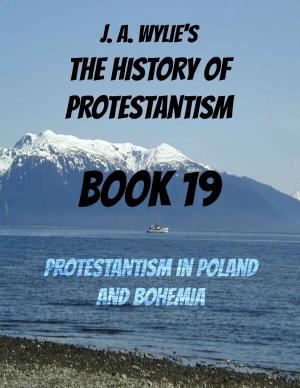 Cover of the book Protestantism in Poland and Bohemia: Book 19 by Nathan Bangs