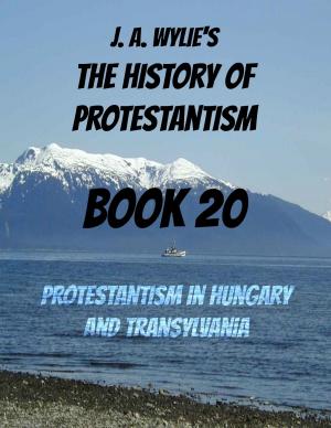 Book cover of Protestantism in Hungary and Transylvania: Book 20