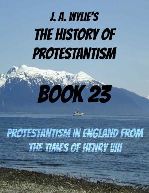 Book cover of Protestantism in England From the Times of Henry VIII: Book 23