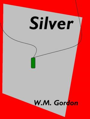 bigCover of the book Silver by 
