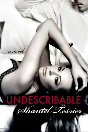 Cover of the book Undescribable by S C Hamill