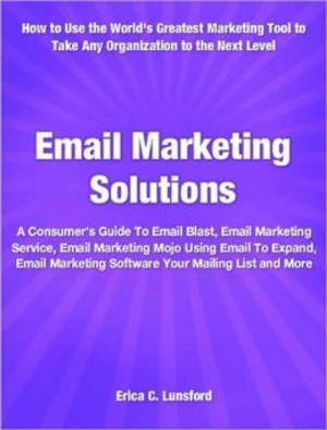 Cover of the book Email Marketing Solutions by Errol Taff