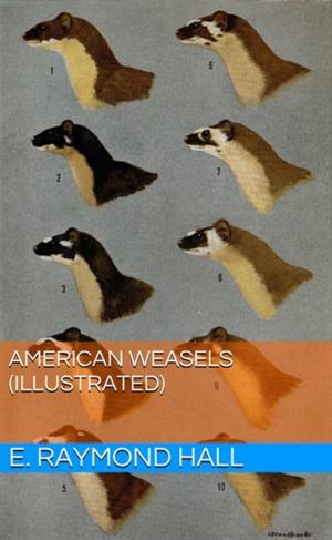 Cover of the book American Weasels (Illustrated) by S. Russell Forbes