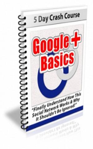 Cover of Google Plus Basics Newsletter Set