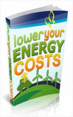 Book cover of How To Lower Your Energy Costs