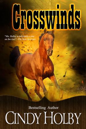 Cover of the book Crosswinds by Cindy Holby